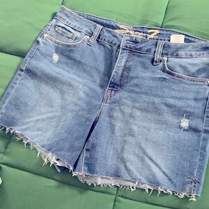 Denim shorts, brand new, never worn.